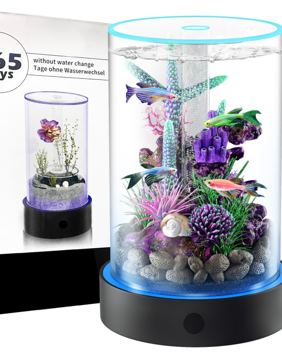  Desktop Small Fish Tank | Maintenance-Free, Year-Round Pure Water 12*20cm